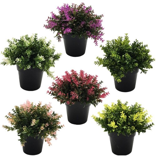 Plantes artificielles - plantes,