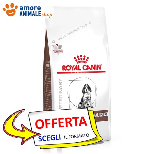 Royal canin chien - canin, →