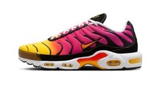 Nike Air Max Plus Gradient