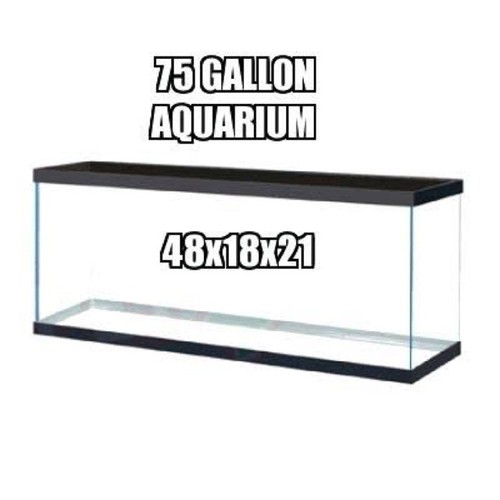Gallon smaller glass - 75-gallon,