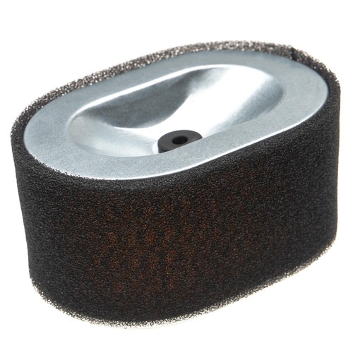 Filtre pour agria 3400 d - filtre,