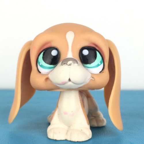 Authentic littlest pet - authentic,