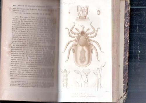 Livre rare journal medecine - livre,