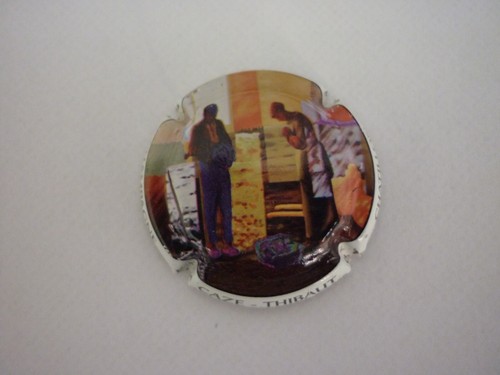 Caze thibaut polychrome - thibaut,