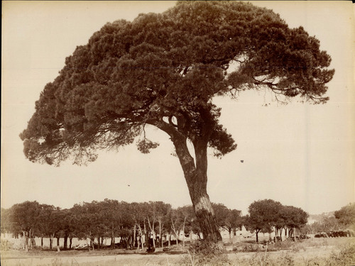 Neurdein côte azur - neurdein,, côte-d'azur