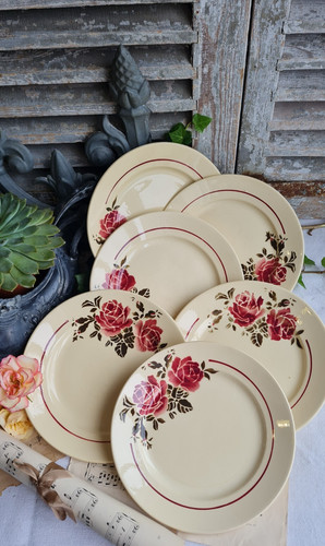 Anciennes assiettes plates - 6,