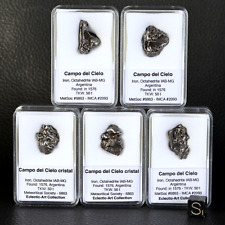 Campo del Cielo Crystal Iron Meteorite 4-6g in Box Argentina