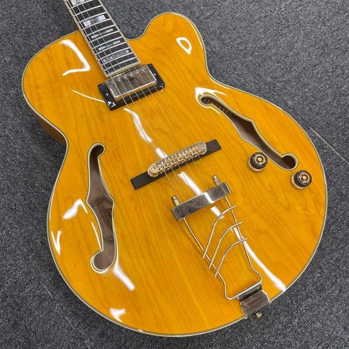 Guitare ancienne ibanez pm2 - guitare, pm2-aa