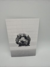 Affiche A6 Carte Postale Chien