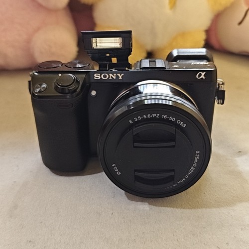 Sony alpha nex 24mp - sony,