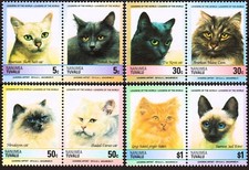 Chats Siamois Gingembre Angora Maine Coon Himalayan Korat Animaux MNH