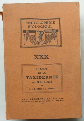 Art taxidermie au - l'art,