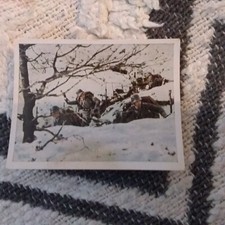 ww2 carte photo oberst