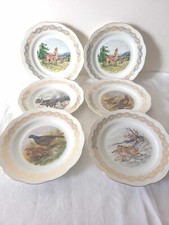 6 Assiettes décoration