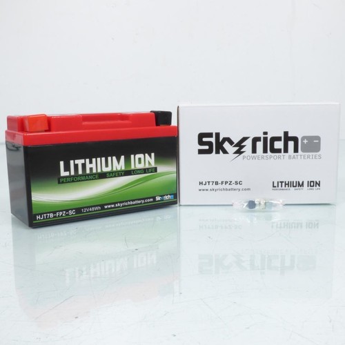 Batterie lithium skyrich pour - lithium,