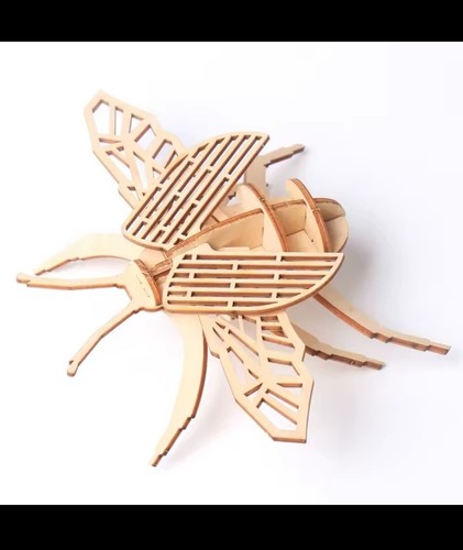 Puzzle bois scarabée - puzzle, en