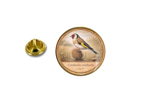 Pins pin badge broche oiseau - pin's,
