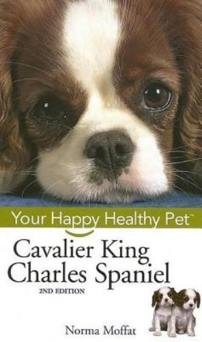 Cavalier king charles spaniel - cavalier,