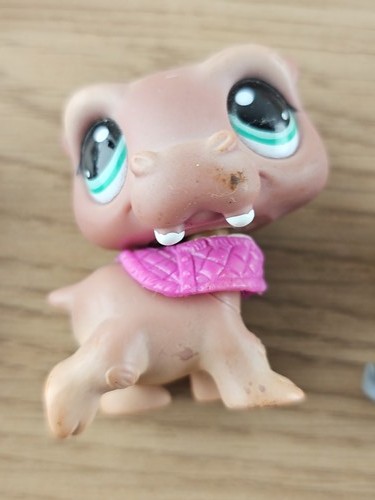 Littlest petshop ancien - my,