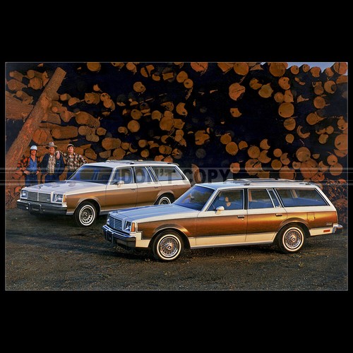 Photo 004446 buick century - photo,