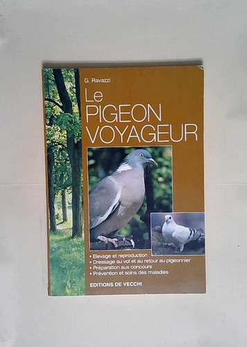 Pigeon voyageur - pigeon,