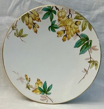 BEAUTIFUL OPAQUE SARREGUEMINES WISTERIA EARTHENWARE PLATE