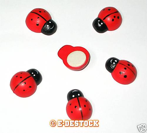 Grosses coccinelles bois - coccinelles,