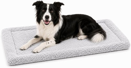 Panier chien coussin - panier, peluche