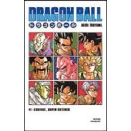 Livre dragon ball france - livre,