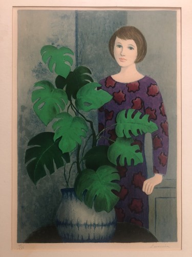 Angelina lavernia plante - angelina,