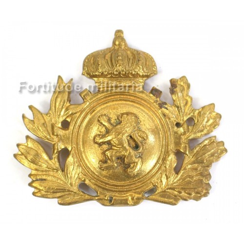 Insigne belge coiffure - insigne, de