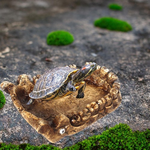 Reptile nourrissant eau - nourrissant, bol