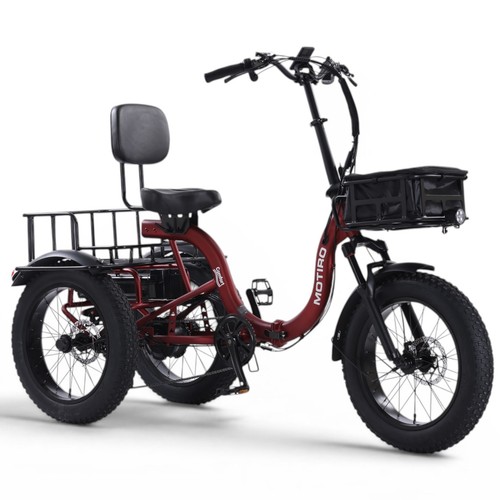 Tricycle fatbike - e,