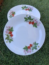 Seltmann Weiden Bavaria Porcelain Strawberry Pattern Plates