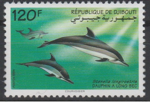 Djibouti dschibuti 1994 - djibouti, mi