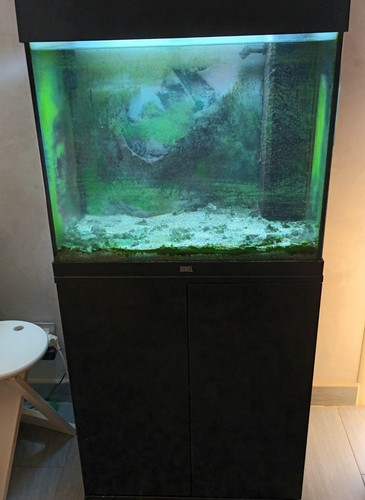 Aquarium juwel 120l - 120l,