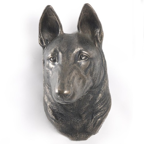 Malinois chien berger belge - chien,