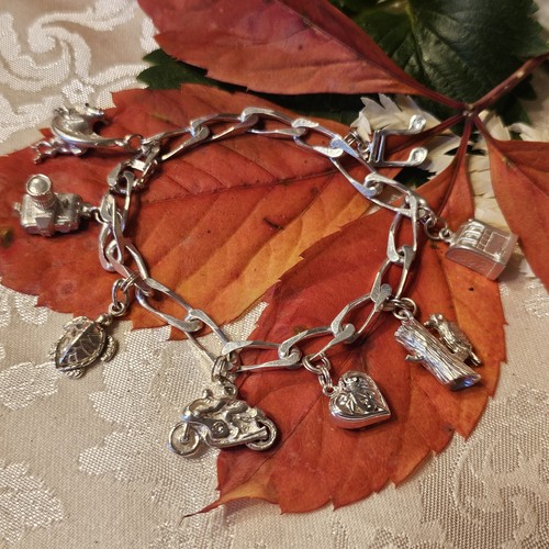 Bracelet breloques argent - bracelet,