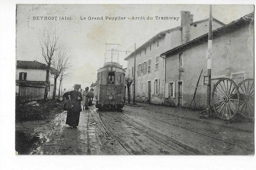 Beynost le grand peuplier - 01,