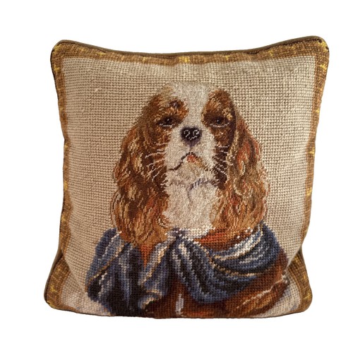 Cavalier king charles spaniel - king,