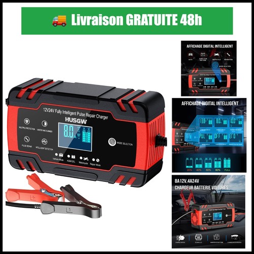 Chargeur batterie 12v - 12v/24v, 8a