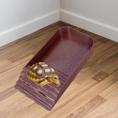 Accessoires piscine pour - accessoires,
