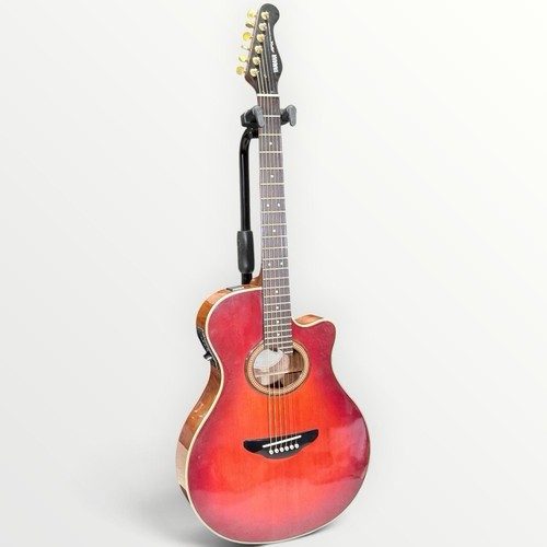 Guitare électrique acoustique