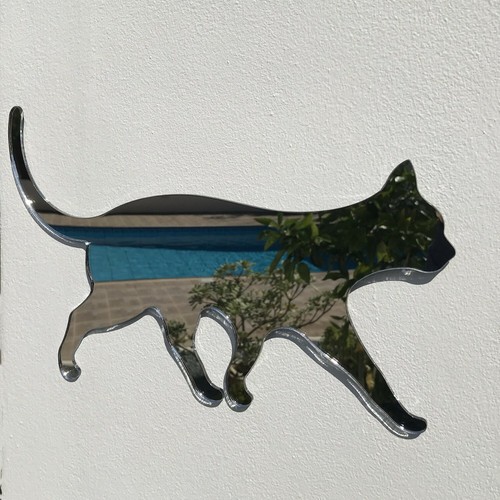 Miroir acrylique chat - acrylique,