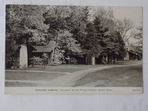 White pines state park - white,