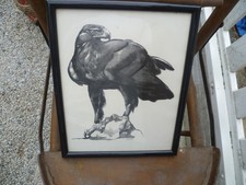 ancienne lithographie  Paul