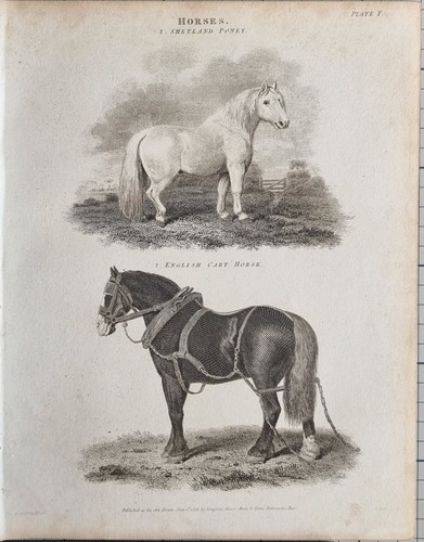 1806 imprimé antique daté - 1806,
