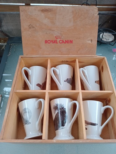 Collection mug chat - collection,