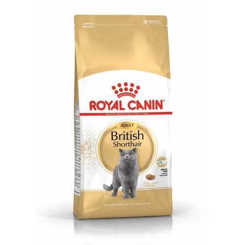 Fbn british shorthair kg - 10,