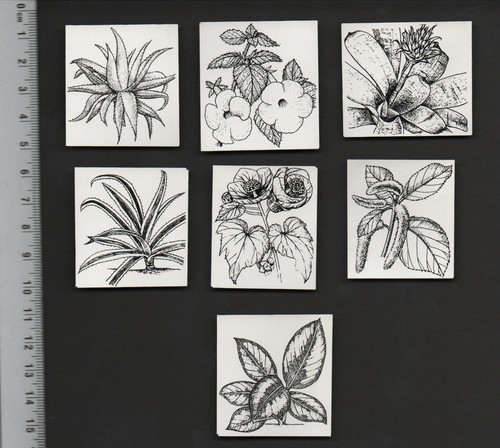 Pack ephemera 100 - pack,